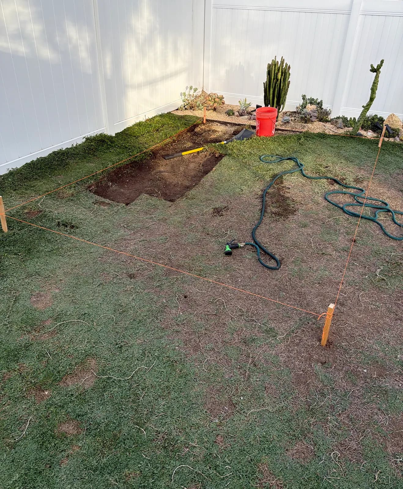 Orange string lines staked out over the lawn, with the first strip of sod cut back